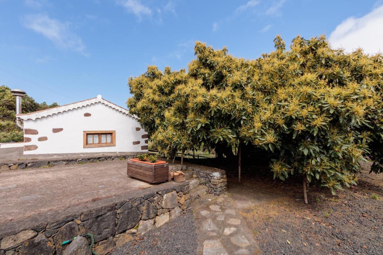 Facundo B Villa Barlovento Eksteriør bilde